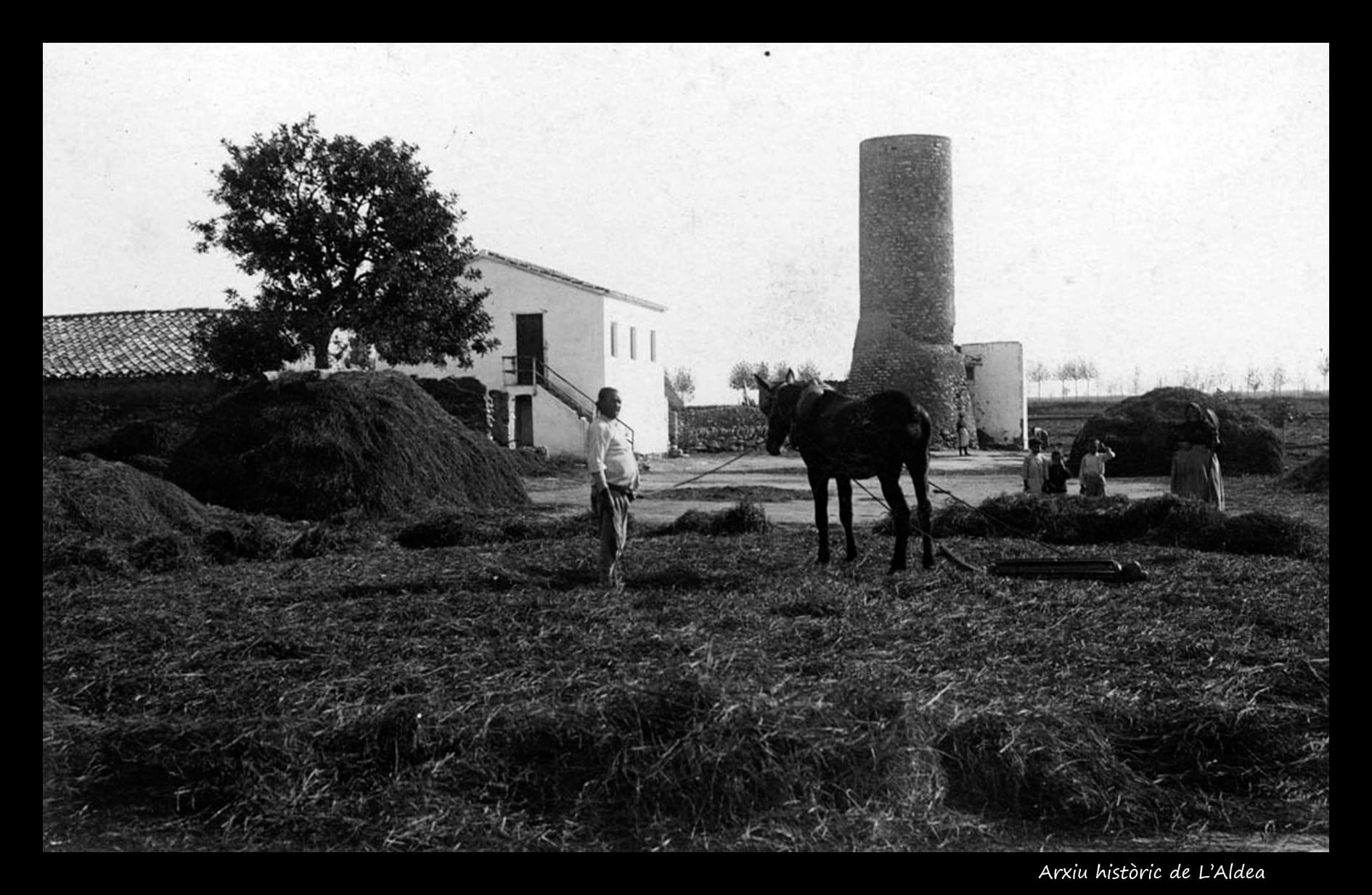 Història de l'Aldea